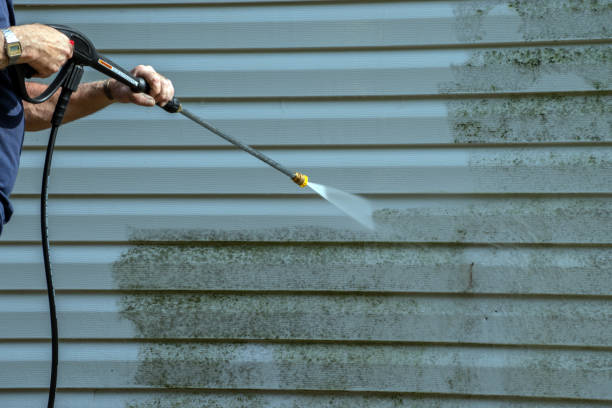 Best Driveway Pressure Washing  in Chandler, TX